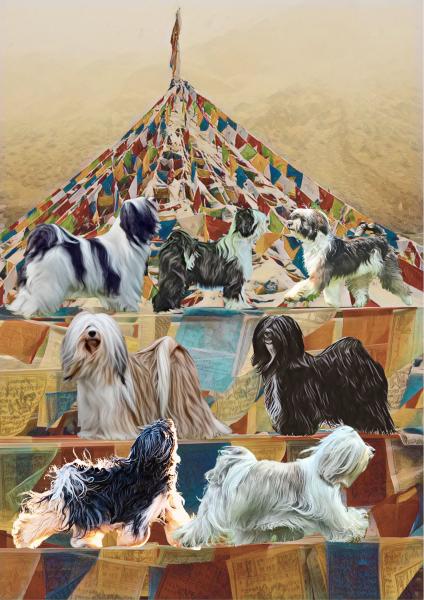 Children of the Prayer Flags